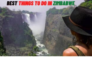 Best Things to Do in Zimbabwe