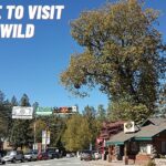 Best Time To Visit Idyllwild