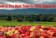 Best Time to Visit Apple Hill