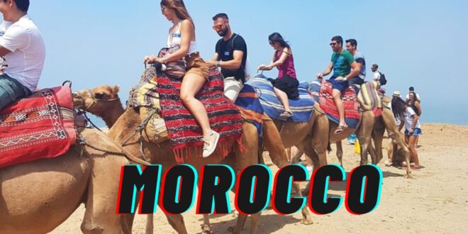 Marbella To Morocco Day Trip
