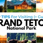 Best Time To Visit Jackson Hole And Yellowstone