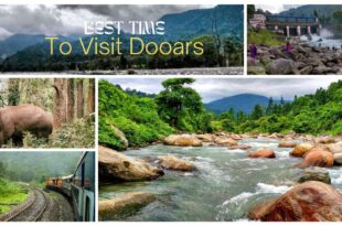 Best Time To Visit Dooars
