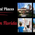 Educational Places To Visit In Florida