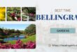 Best Time To Visit Bellingrath Gardens