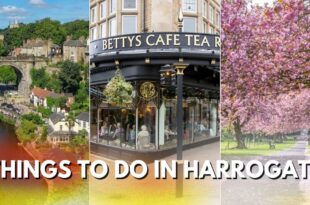 Things To Do In Harrogate
