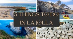 Things To Do In La Jolla