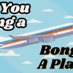Can you Bring a Bong on a plane?