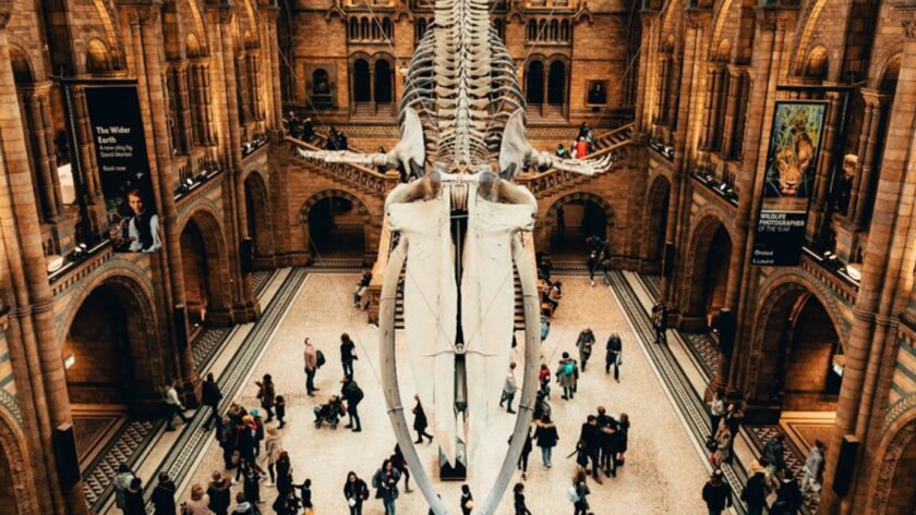 Visit London Museums and Galleries Tips