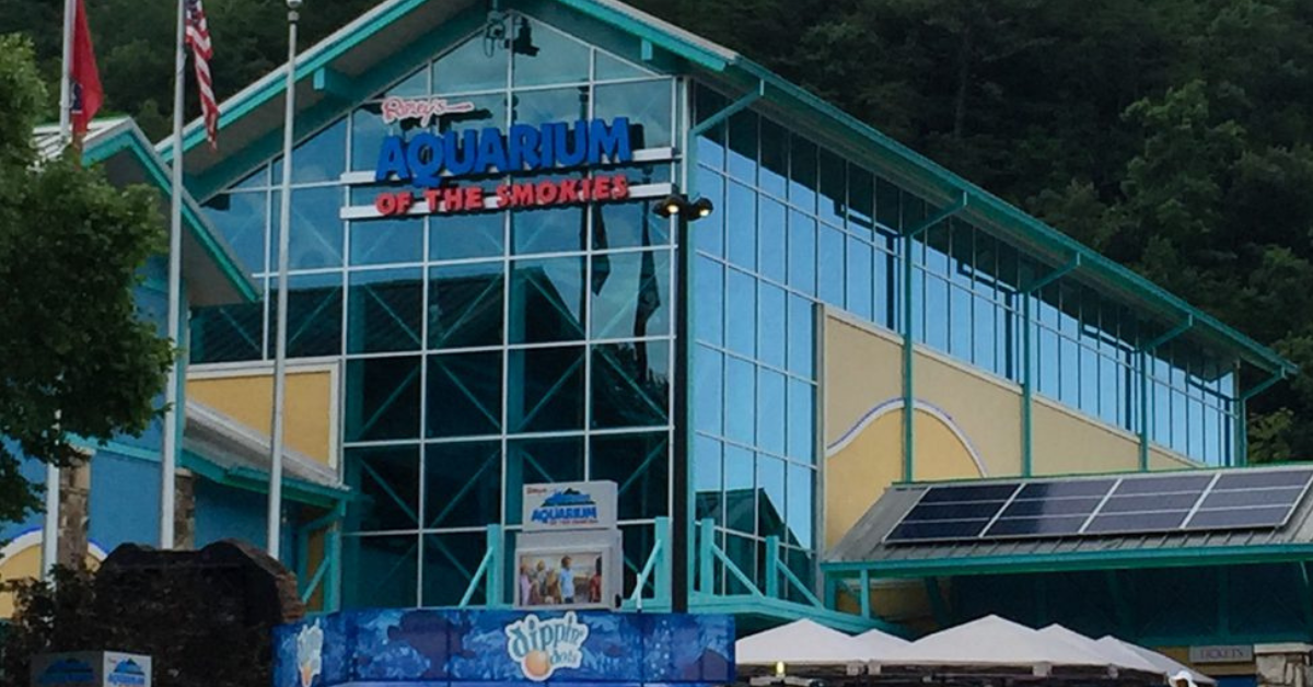 Must Visit Indoor Spots in Pigeon Forge for a Rainy Day