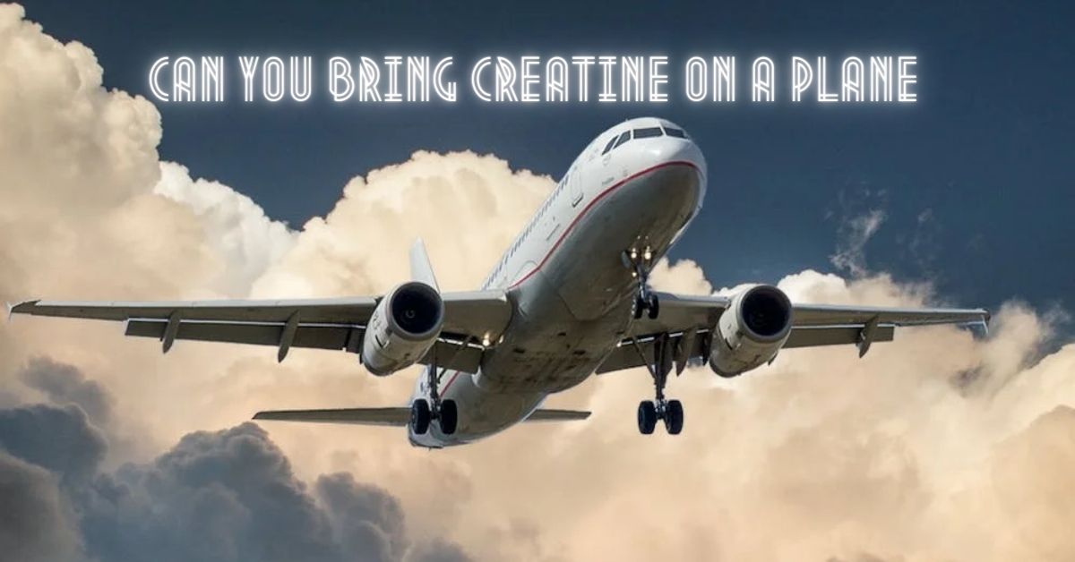 can you bring creatine on a plane